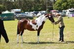 SBM_05449