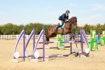 SBM_003875