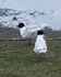 20100501-WE 074