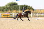 SBM_006410