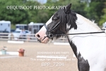BPP_7294