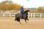SBM_000664