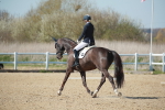 SJ3_1461