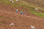 British Fell Relay-2617