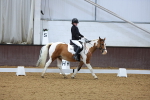 SBM_001479