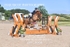 BPP_4604