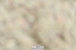 230630A-114646-01698