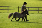 SBM_62889