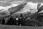 Skiddaw.
