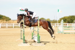 SBM_003251