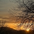 Dawn skies 3