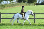 SBM_54018