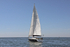 170526 SLOW GIN GBR2075L 1Y3A9549_Edit