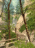 Shanklin Chine 3