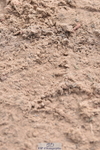 230314A-124111-01214