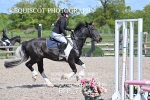 BPP_7114