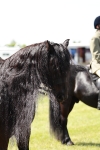 SBM_07093