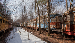 Trolley Graveyard | Philadelphia Bicentennial Cars