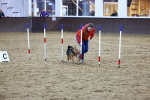 SBM_006092