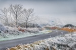 z3951 Early Winter Ice, Ventnor Down