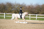 SBM_004809