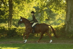 SBM_56461