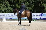 369-GIDO_G-Sally_Chamberlain-WEDTrotUp+DR portfolio