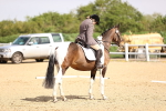 SBM_008013