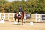 SBM_016815