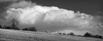 Day 6 - Pan Barn