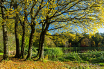 Sunshine on an Autumn Day!