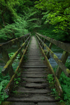 Derbyshire Dales