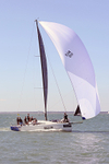 160806 KESTREL GBR8611R Y92A1665