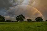 Stormy Rainbow