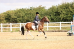 SBM_005873