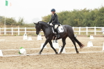 SBM_003987