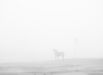The Lifeboat Horse - Wells