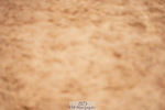 240526A-132250-08348