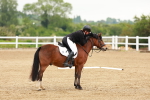 SBM_005286
