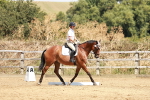 SBM_002965