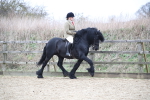 SBM_006290