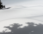 Winter - 11