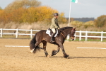 SBM_000945