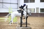 SBM_000564