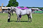 SBM_18228