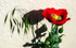 Poppies & Grasses II
