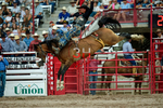 July 21st Rodeo Performance portfolio