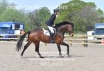 CLASS 3 Senior British Novice/ 90cm Open portfolio