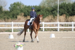 SBM_020209