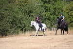 WJ6_8130